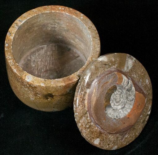 Small Fossil Goniatite Jar (Brown) - Stoneware #18010